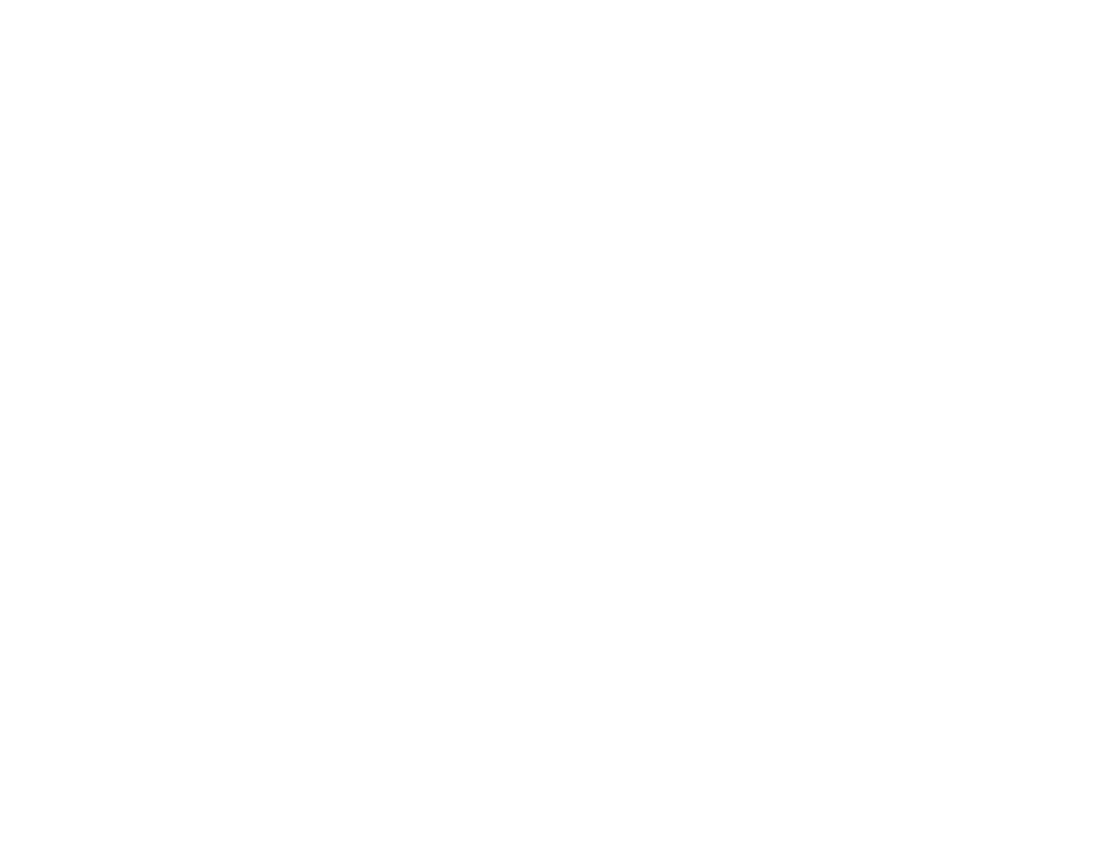 Boston Chimney Sweep